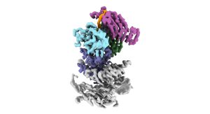20260227 Erb Nature Chemical Biology 920x500
